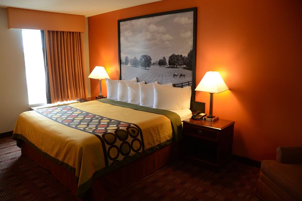 A hotel room with a large bed, two bedside lamps, a telephone, and a painting on the wall.