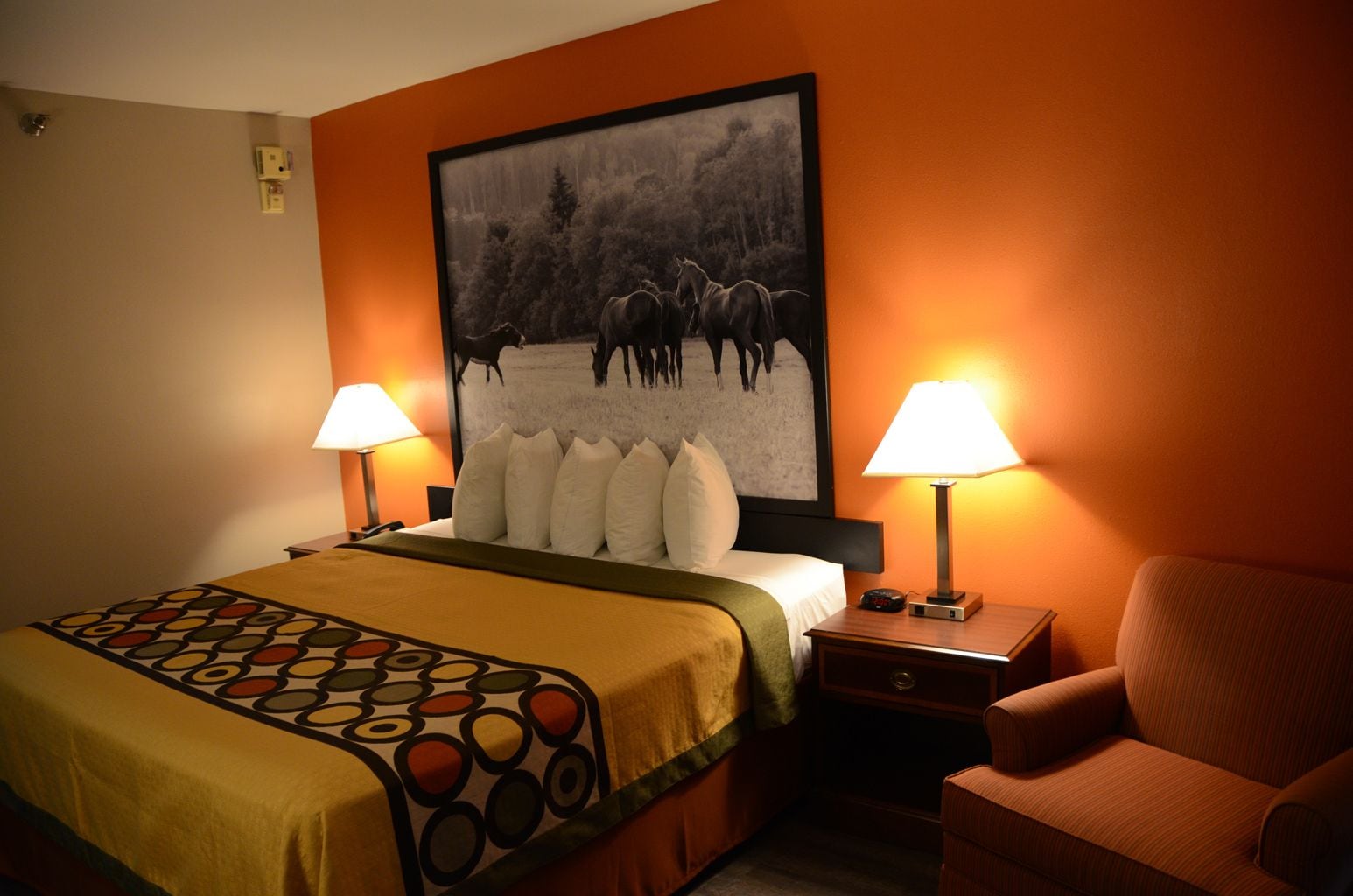 Foto - Super 8 by Wyndham Louisville/Expo Center