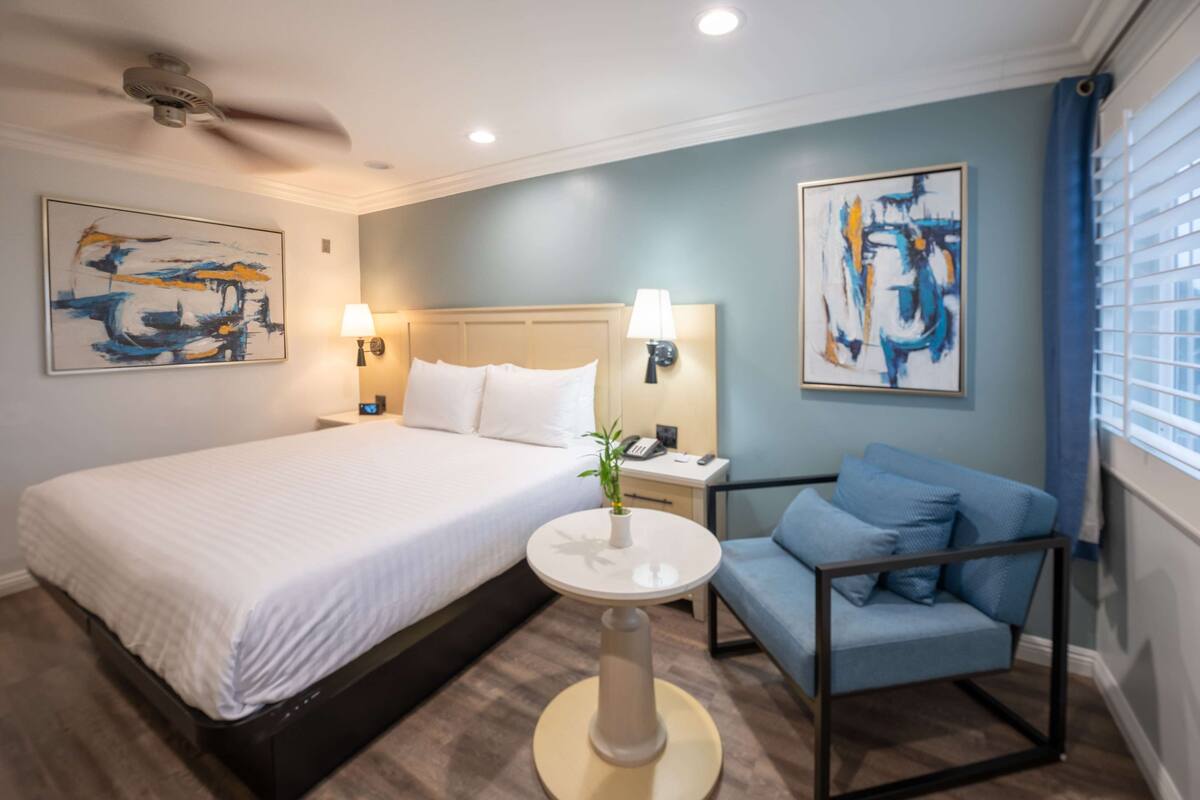 Habitación de hotel con una cama grande, un sillón azul, una pequeña mesa redonda con una planta y arte abstracto en las paredes.