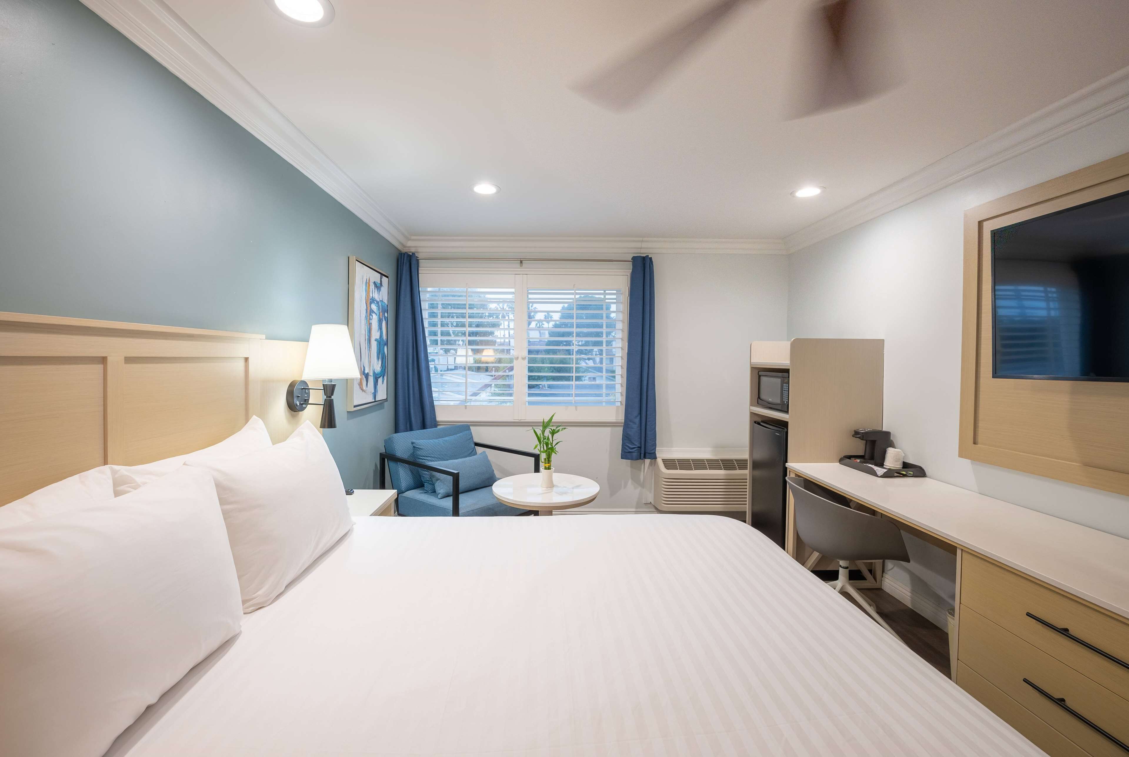 A hotel room with a bed, a desk, a chair, a small table with a plant, a window with curtains, and a ceiling fan.