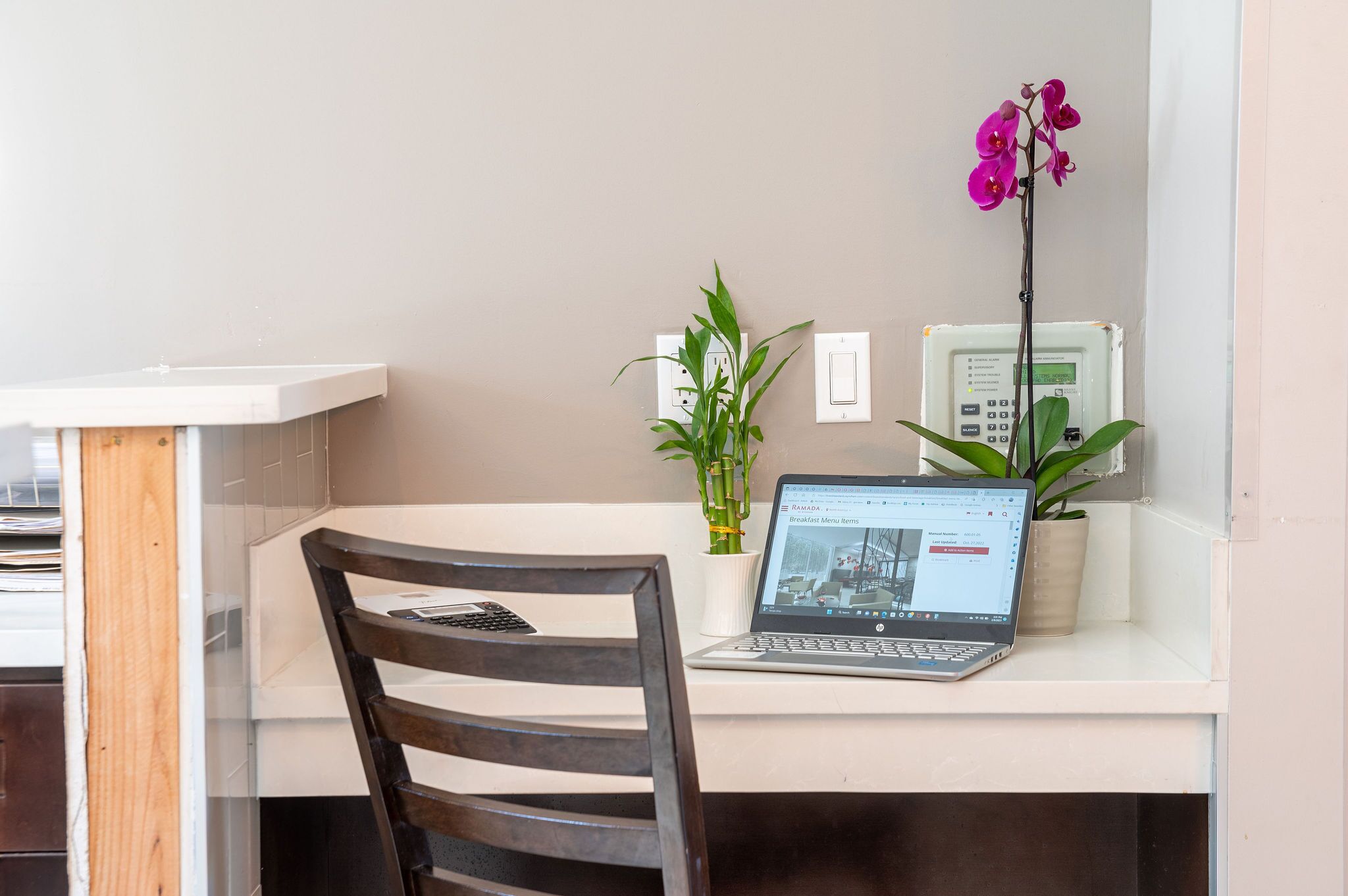 A clean, modern workspace with a laptop, a wooden chair, and two potted plants.