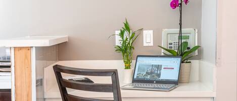 A clean, modern workspace with a laptop, a wooden chair, and two potted plants.