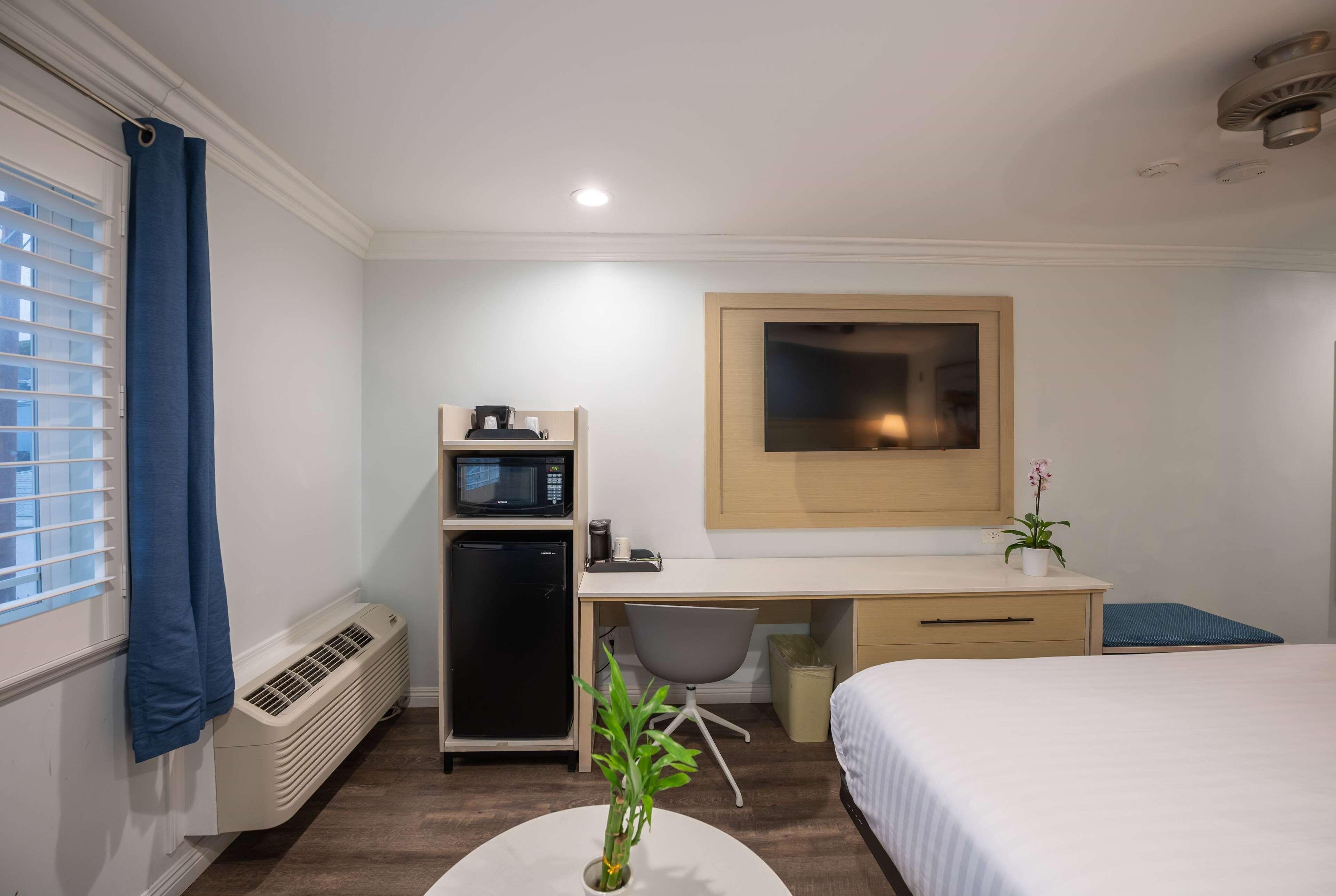 Habitación de hotel con cama, escritorio con computadora, microondas, refrigerador pequeño, silla y planta en maceta.