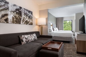 开间, 多张床 | 办公桌、熨斗/熨衣板、免费婴儿床、免费 WiFi