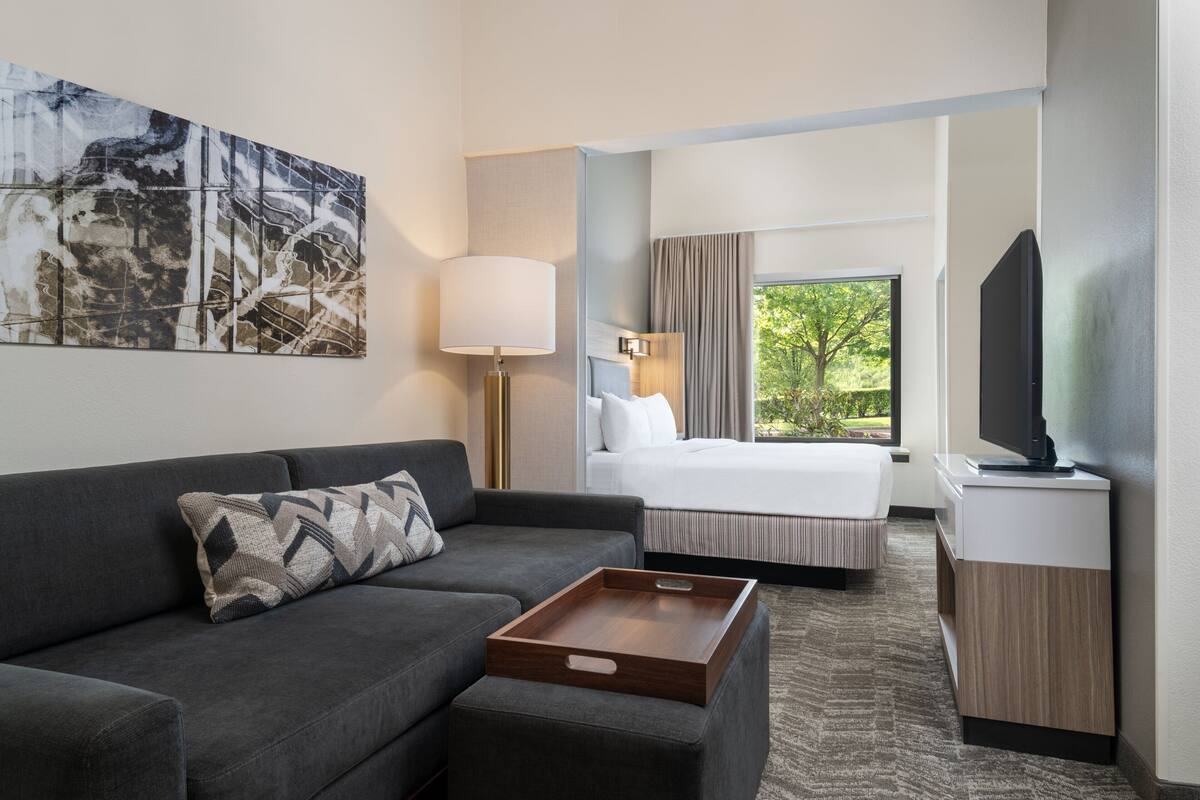 A hotel room with a sofa, a bed, a TV, a bedside table, and a window with a view of greenery.