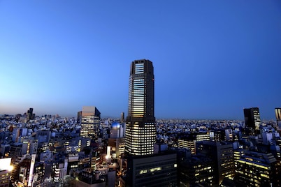 Cerulean Tower Tokyu Hotel