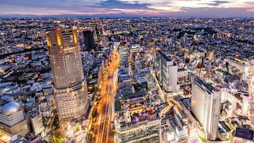 1 habitación, ropa de cama de alta calidad, cubrecamas y minibar