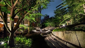 A nighttime view of a stone staircase leading up to a building, surrounded by lush greenery and illuminated by artificial lights.