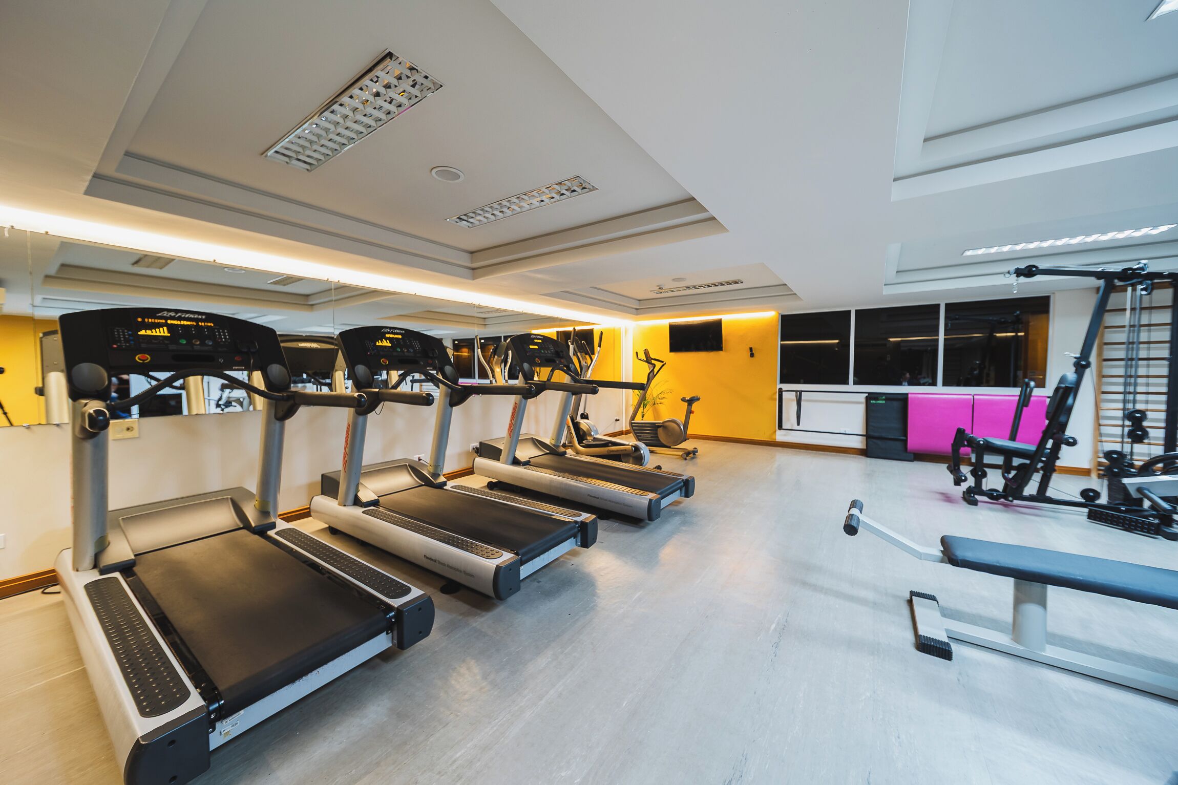 A gym with treadmills, weight machines, and a mirror wall.