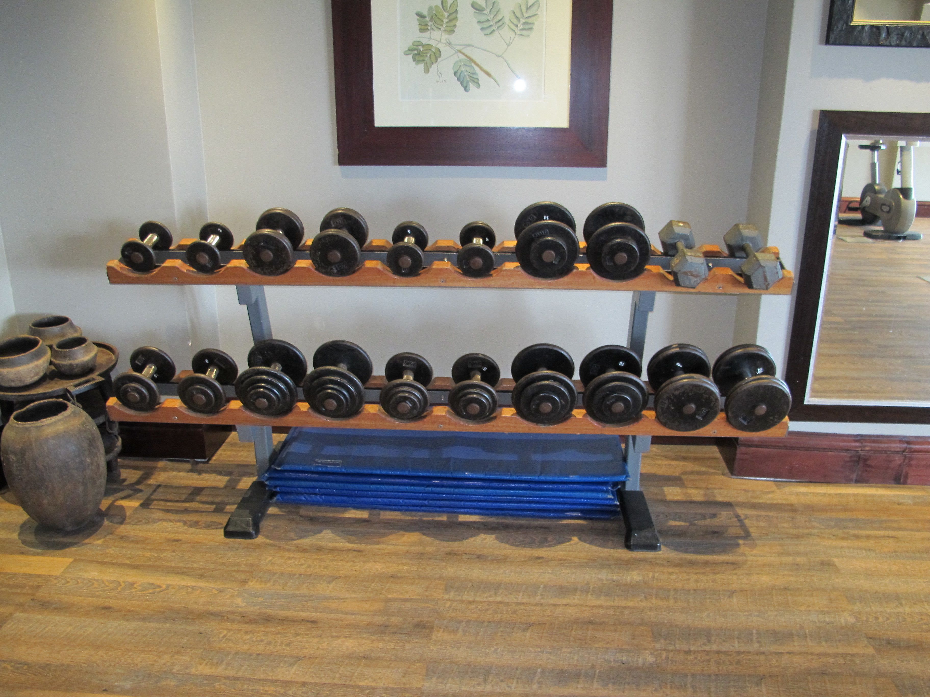 Gimnasium