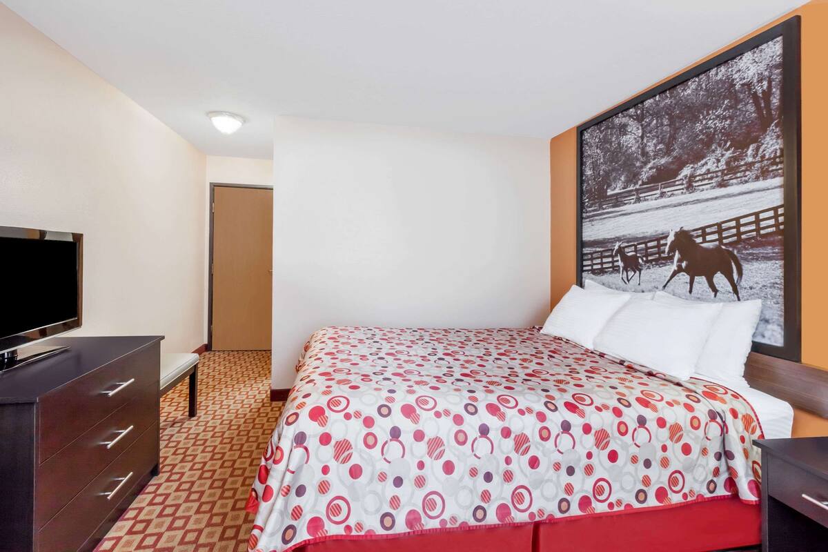 A hotel room with a large bed, a TV on a dresser, and a painting of horses on the wall.