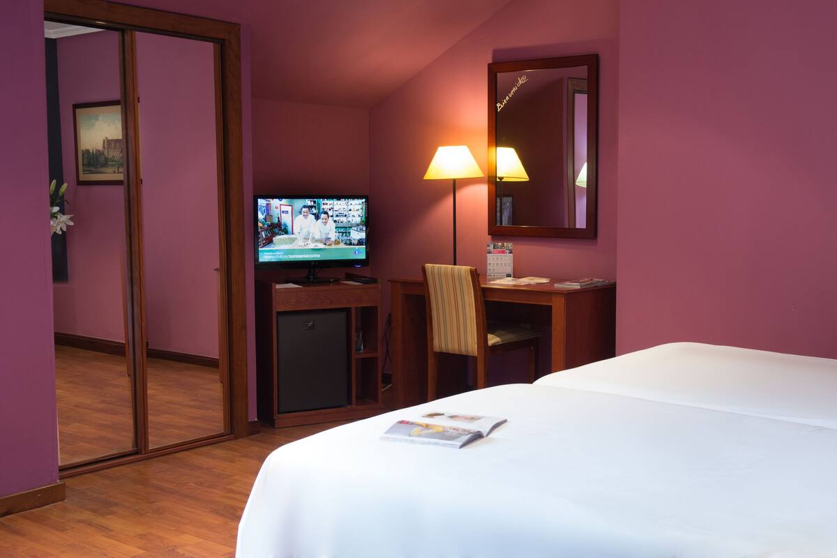 A hotel room with a bed, a desk with a chair, a television, and a mirror.