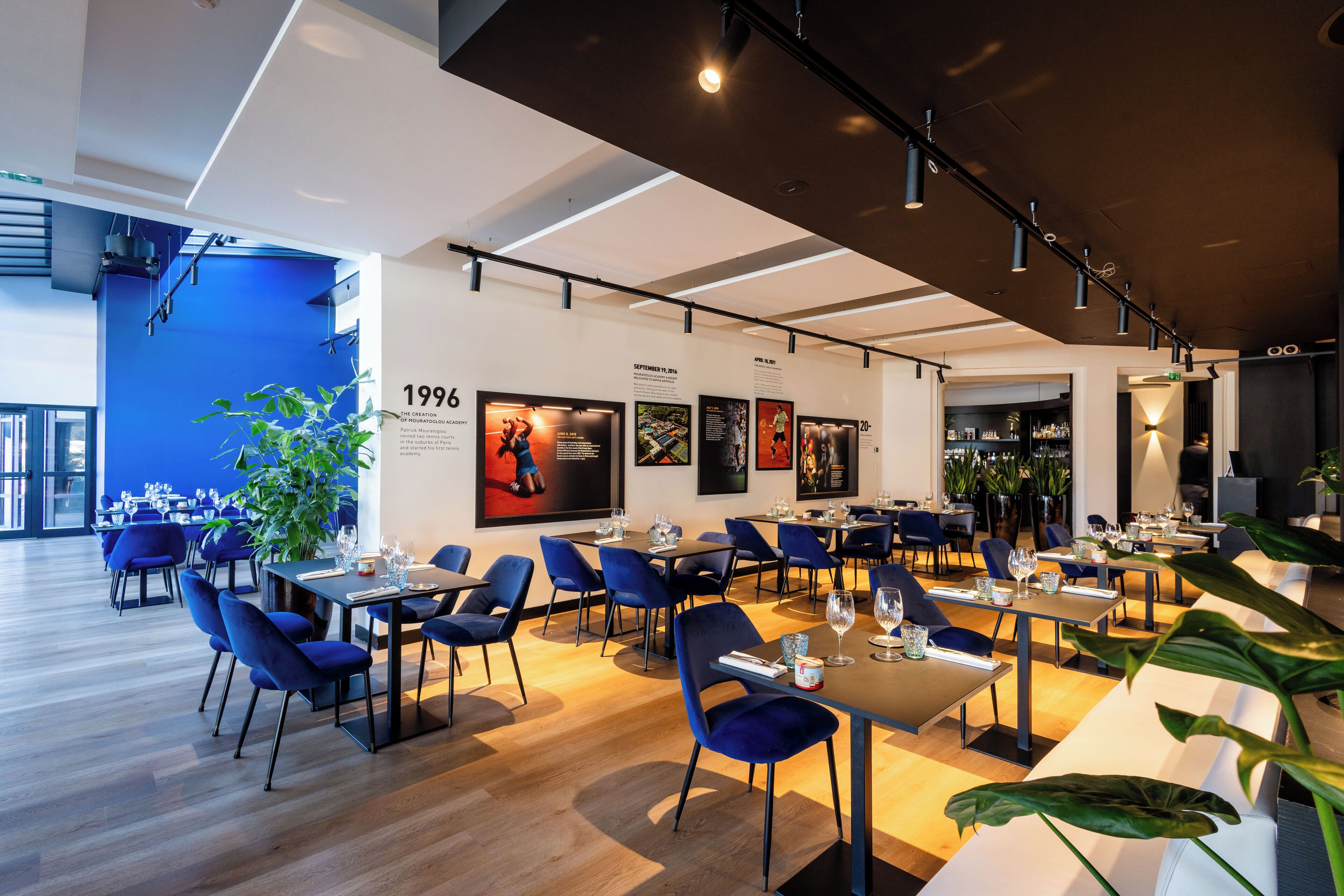 Un restaurant moderne avec des chaises bleues, des tables en bois et une grande plante.