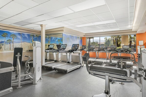 A gym with treadmills, weight machines, and a large window with a view of palm trees.
