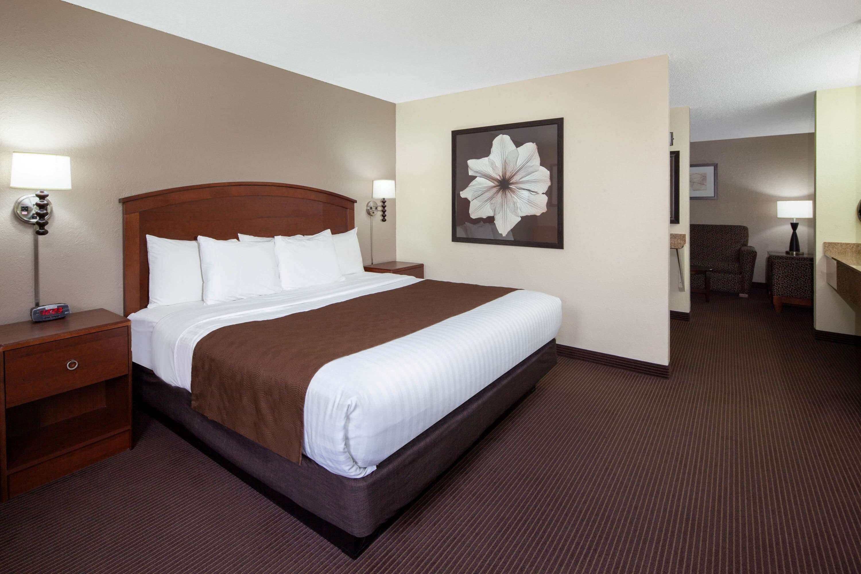 A hotel room with a large bed, a nightstand, a lamp, a chair, and a painting on the wall.