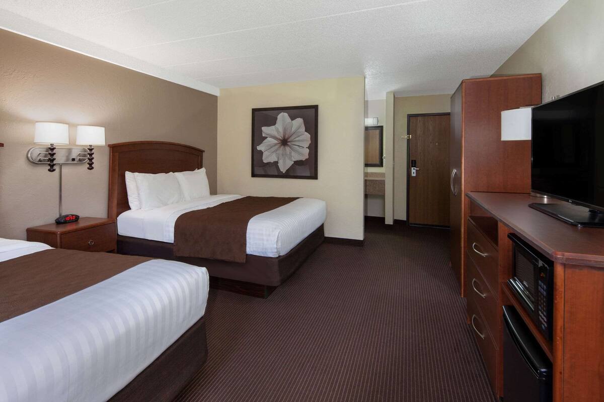 Ein Hotelzimmer mit zwei Betten, einem Fernseher, einem Schreibtisch mit Lampe und einem großen Blumenbild an der Wand.