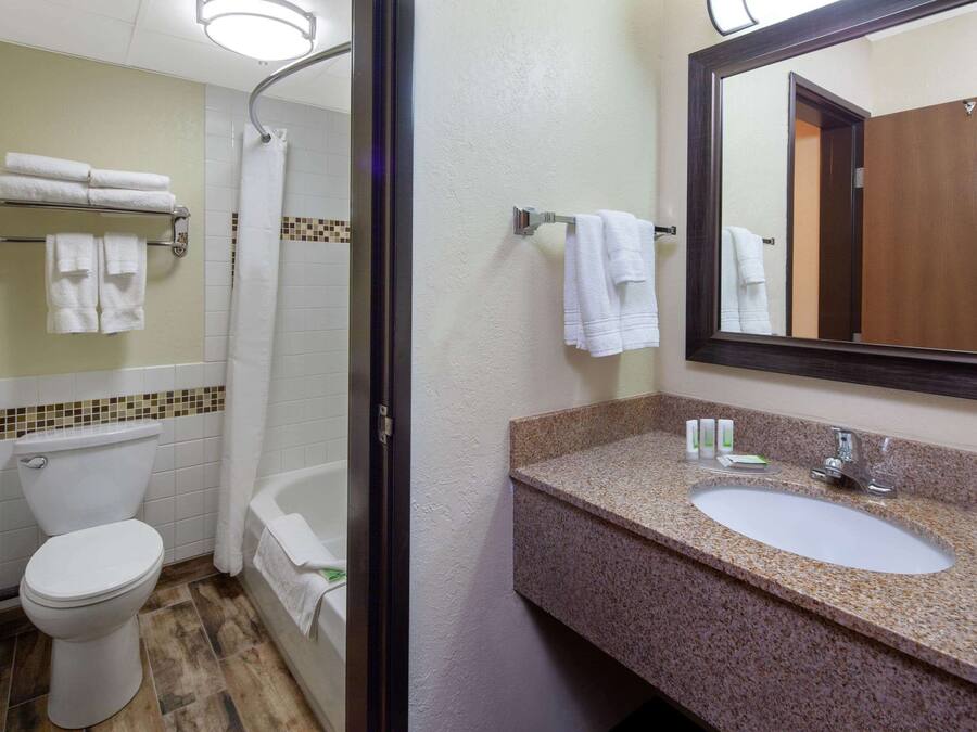 Un baño con inodoro, ducha, lavamanos y espejo.