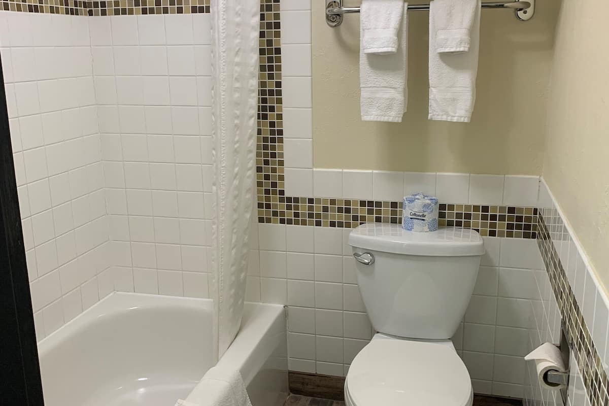 combined shower/bathtub, hair dryer, towels