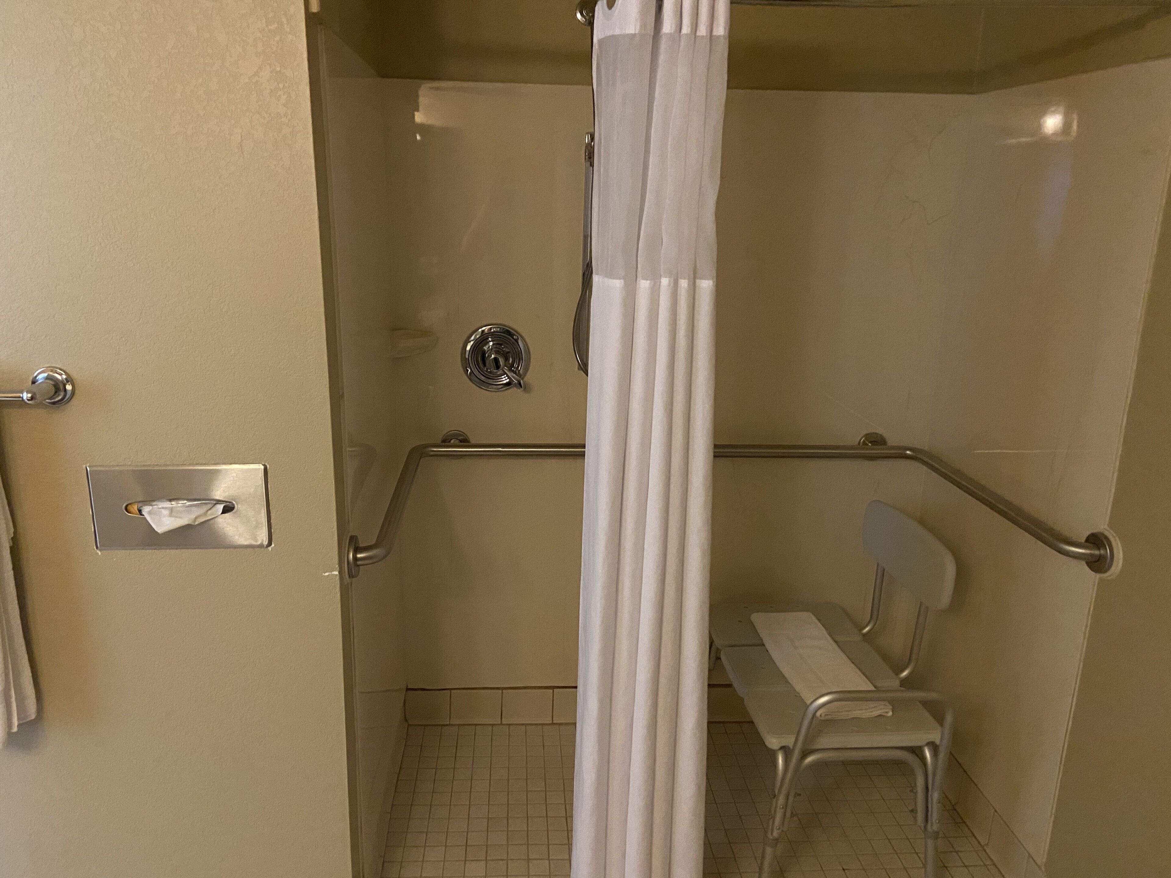 room, 1 king bed, accessible, non smoking (roll-in shower) | bathroom | free toiletries, hair dryer, towels