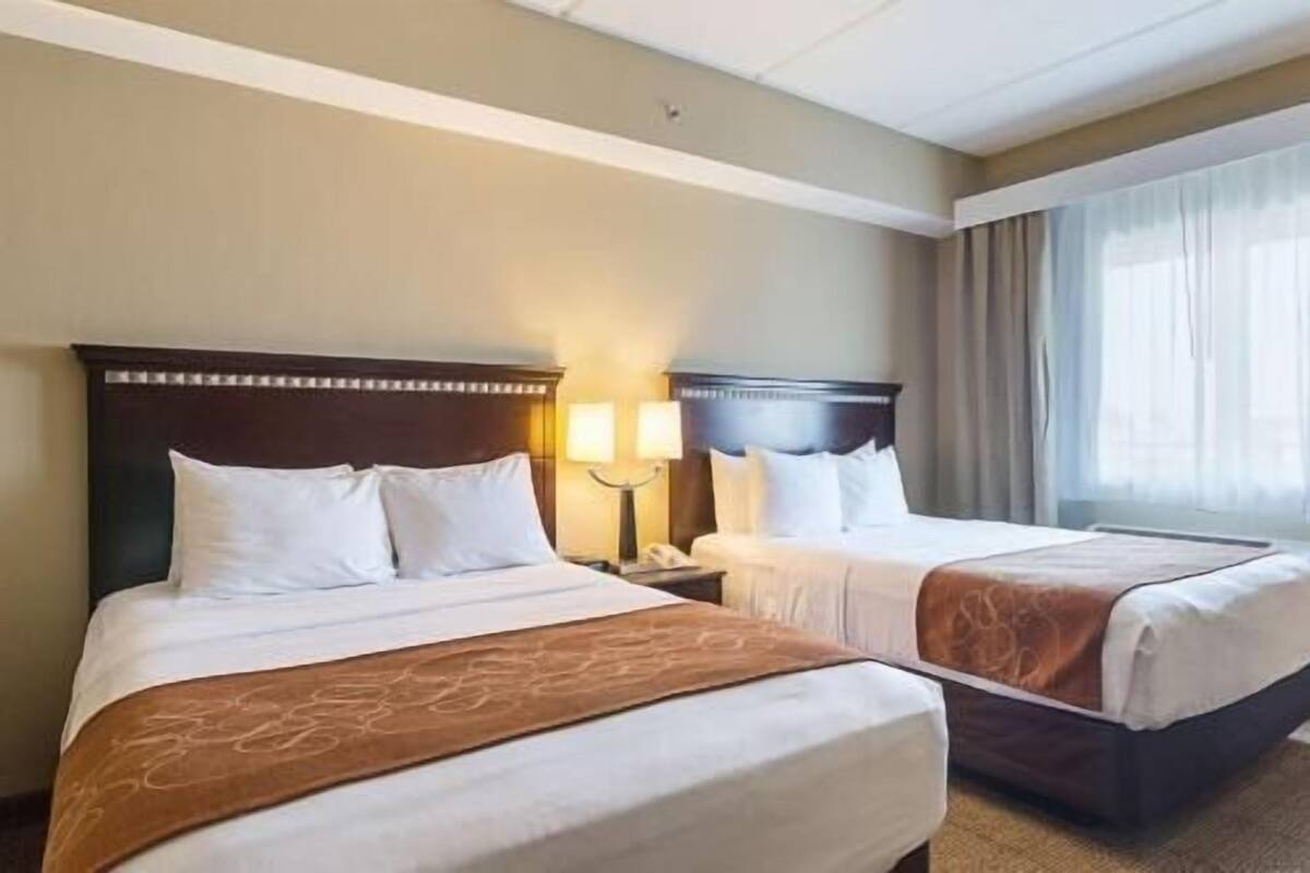 Two double beds with headboards, bedside lamps, and a window with curtains.