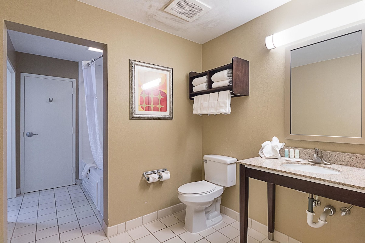 free toiletries, hair dryer, towels