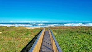 Nära stranden