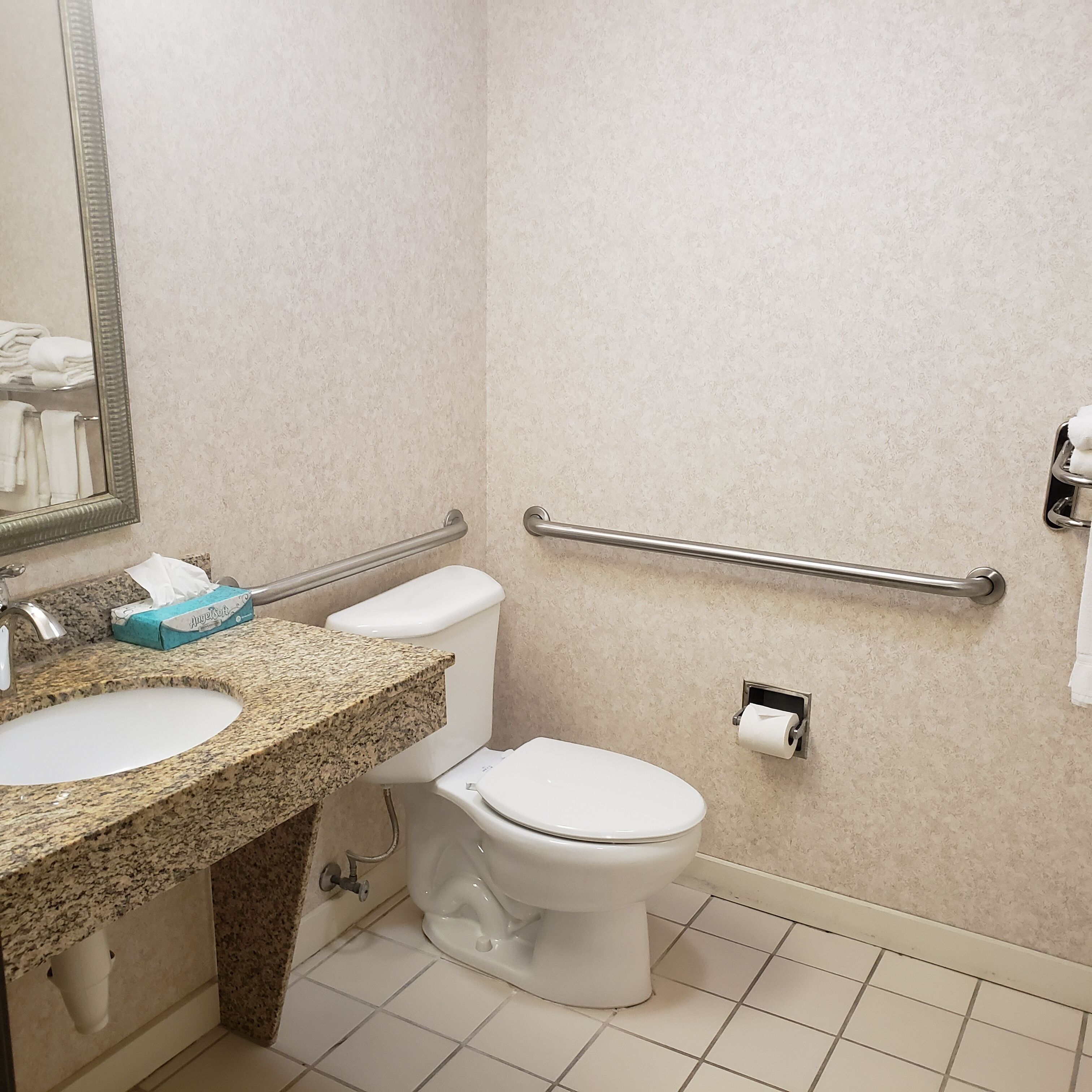 Baño con lavamanos de granito, inodoro blanco y barandilla.