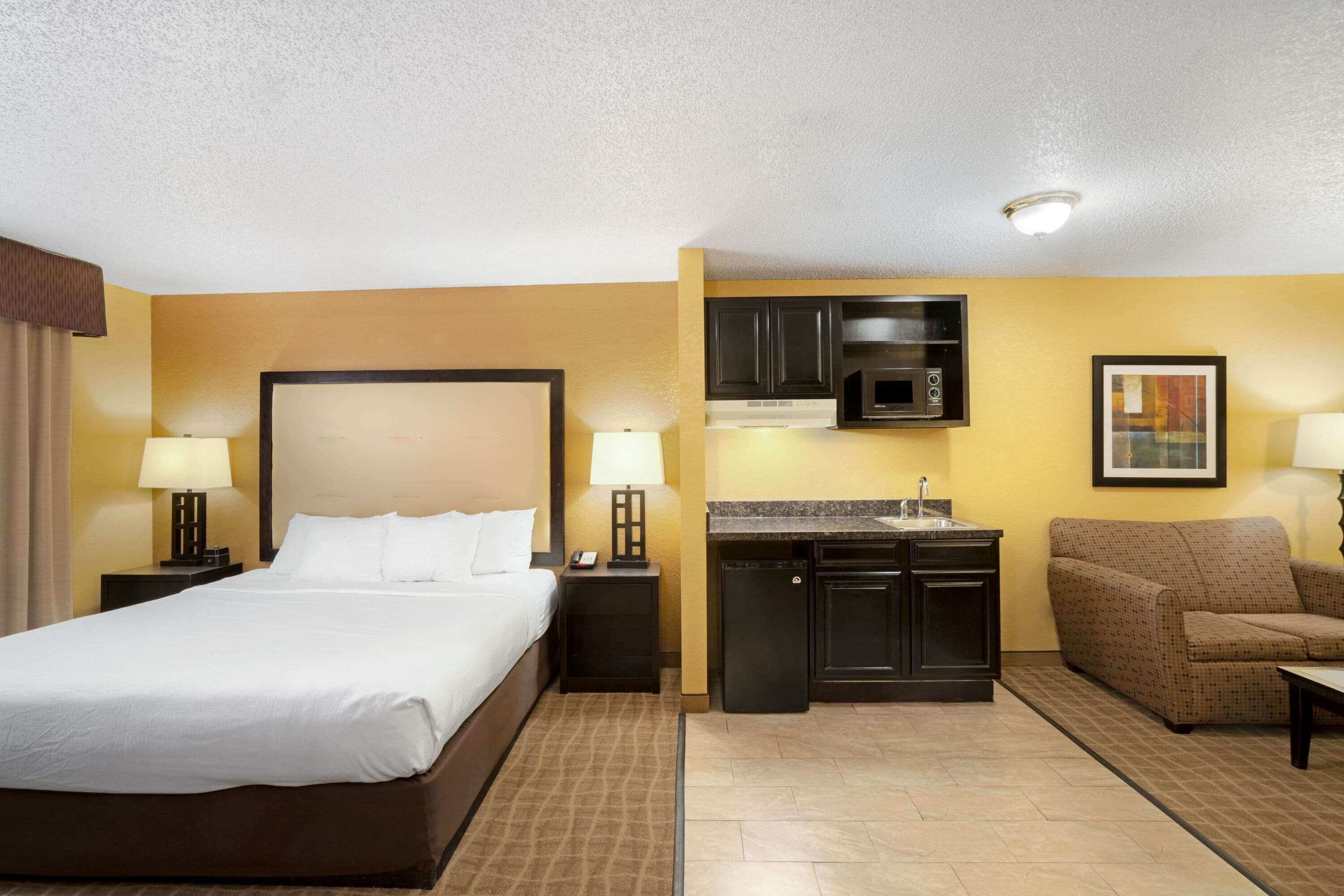 A hotel room with a bed, a nightstand, a desk, a microwave, a sink, and a sofa.