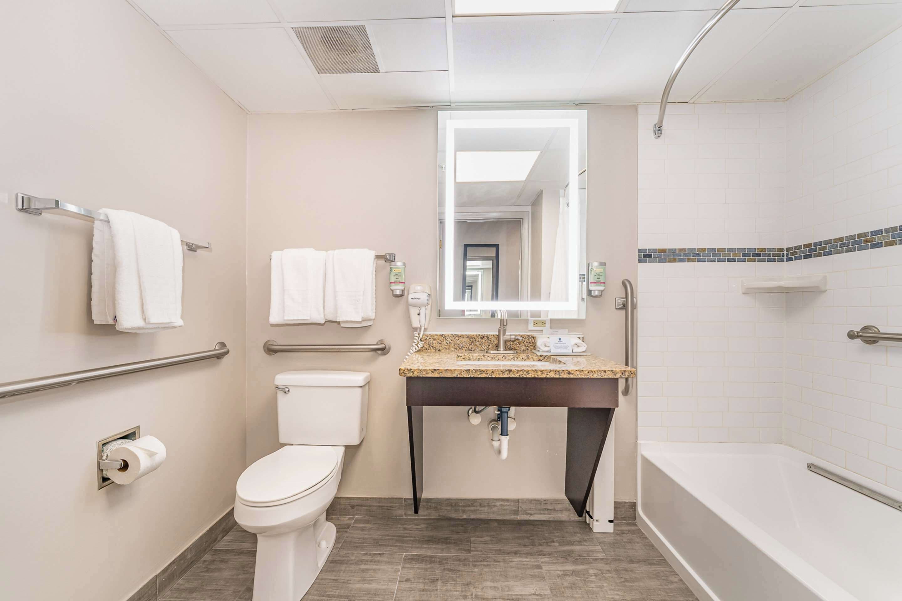 standard room, 1 king bed, accessible, bathtub | bathroom | free toiletries, hair dryer, towels, soap
