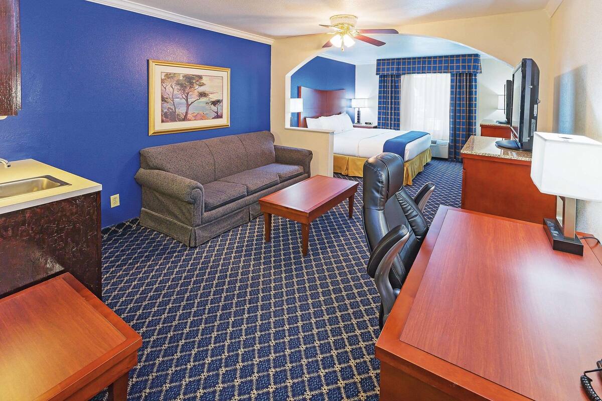 A hotel room with a blue carpet, a sofa, a bed, a desk, a chair, a TV, and a ceiling fan.