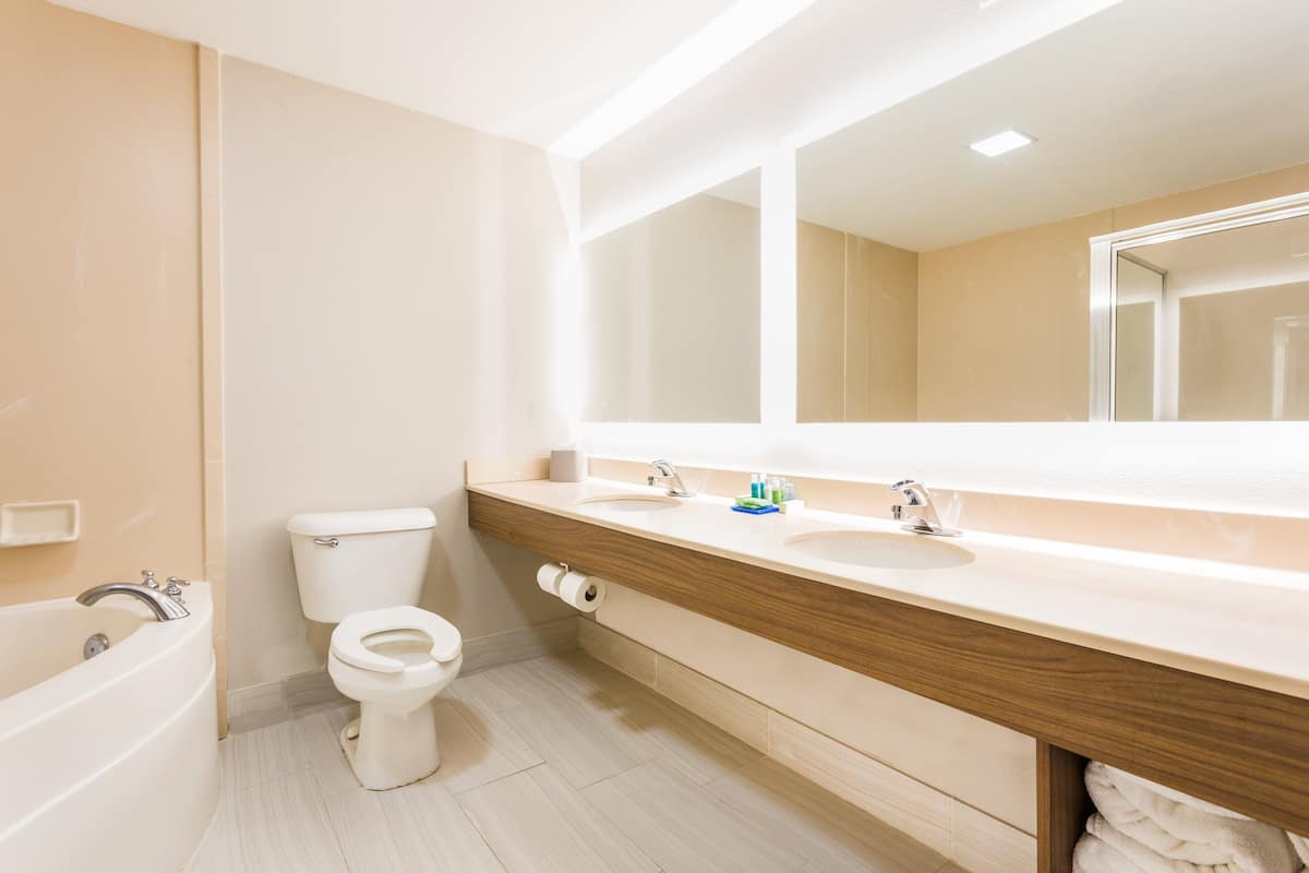 hair dryer, towels, soap, shampoo