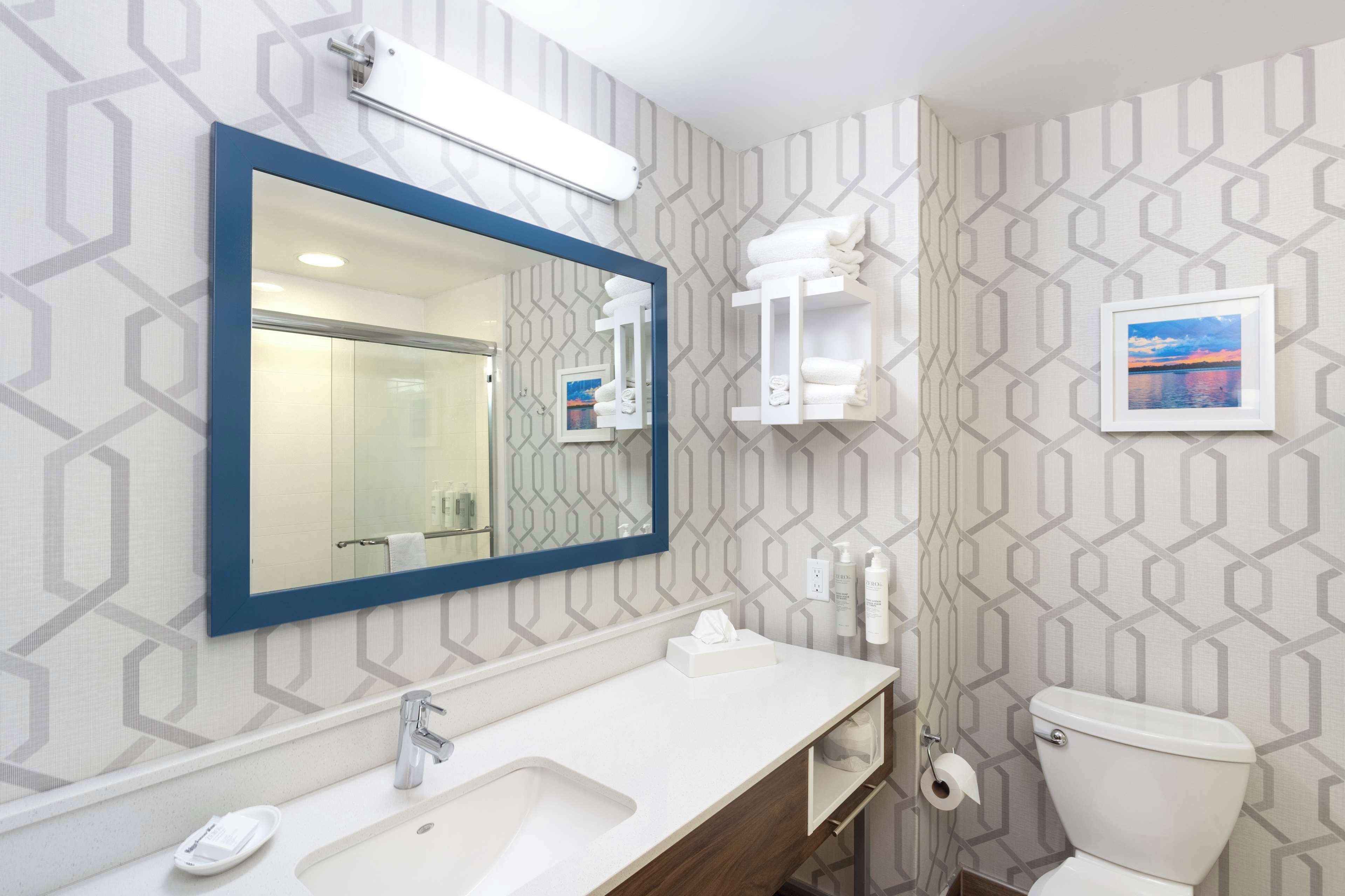 deluxe room, 1 king bed, refrigerator & microwave | bathroom | shower, free toiletries, hair dryer, towels