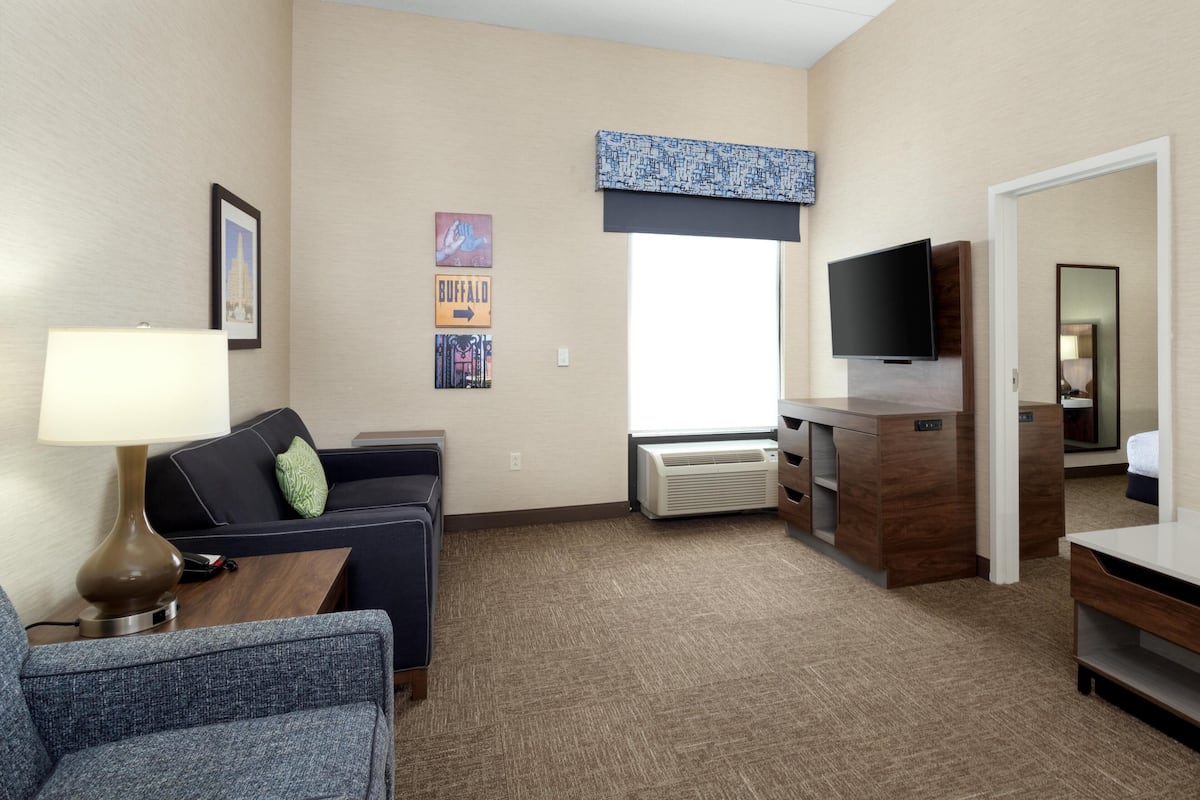 Suite, 1 King Bed (Roll-in Shower) | Living area