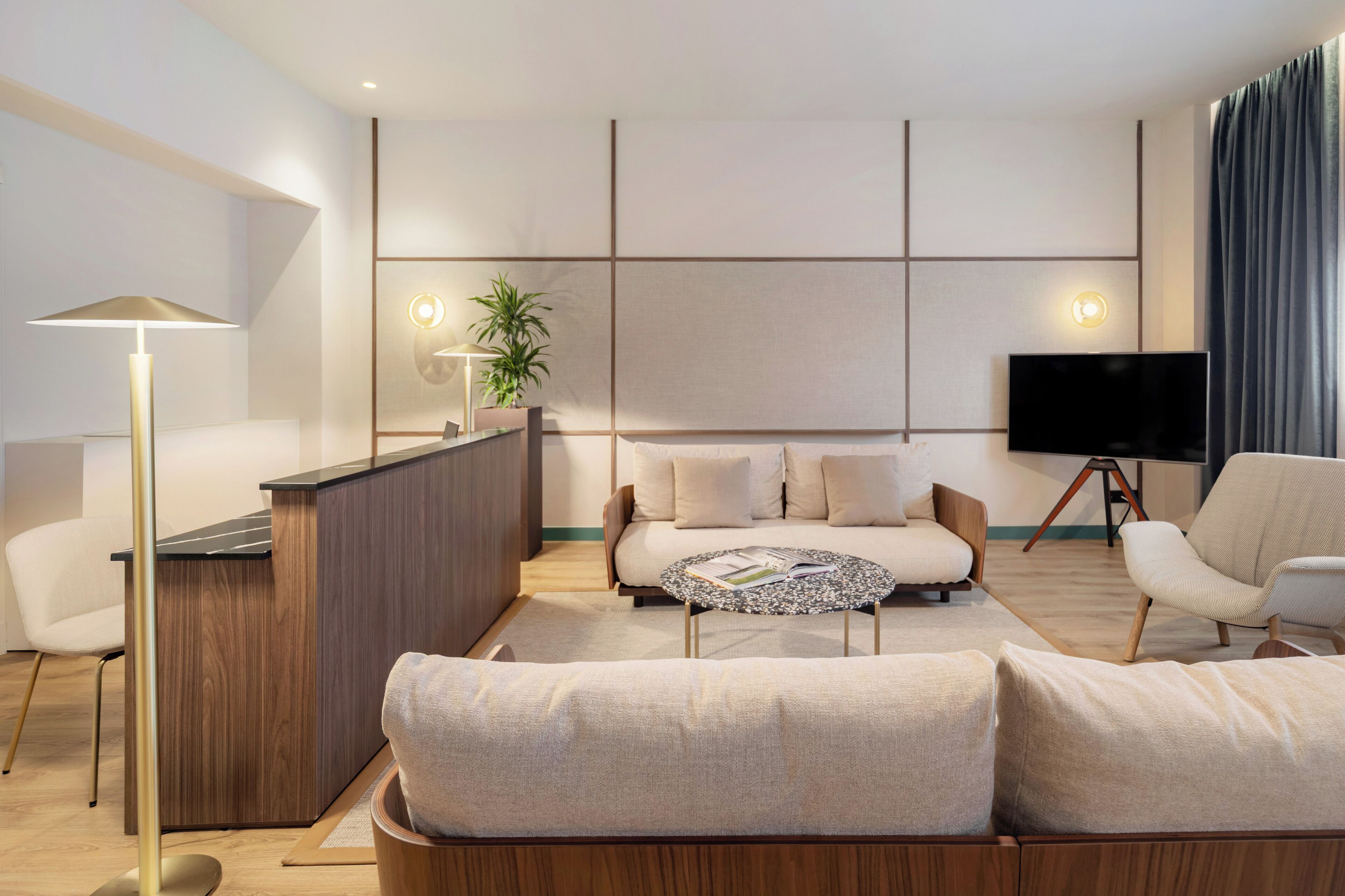 Una sala de estar moderna con un sofá, una mesa de centro, un televisor y una planta.