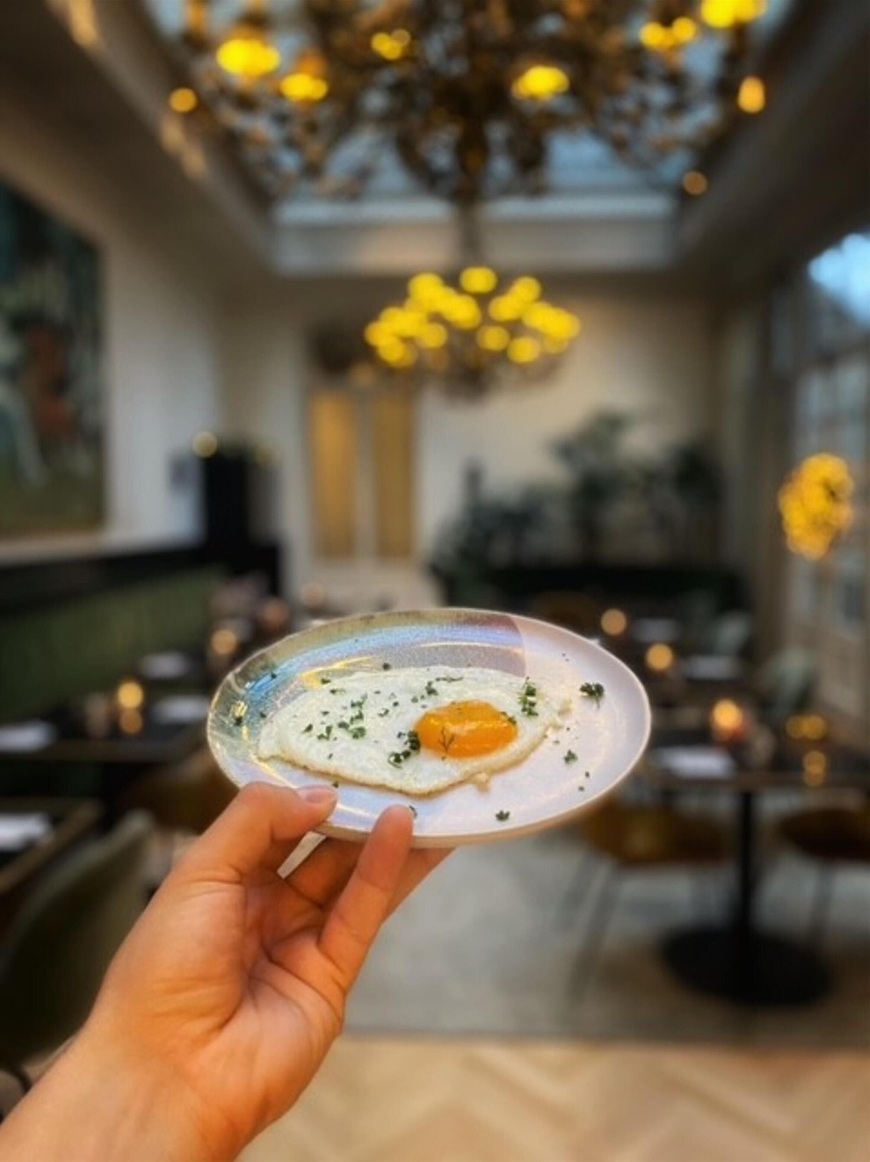 Una mano sostiene un plato con un huevo, sobre un fondo desenfocado de un interior de restaurante con una araña.