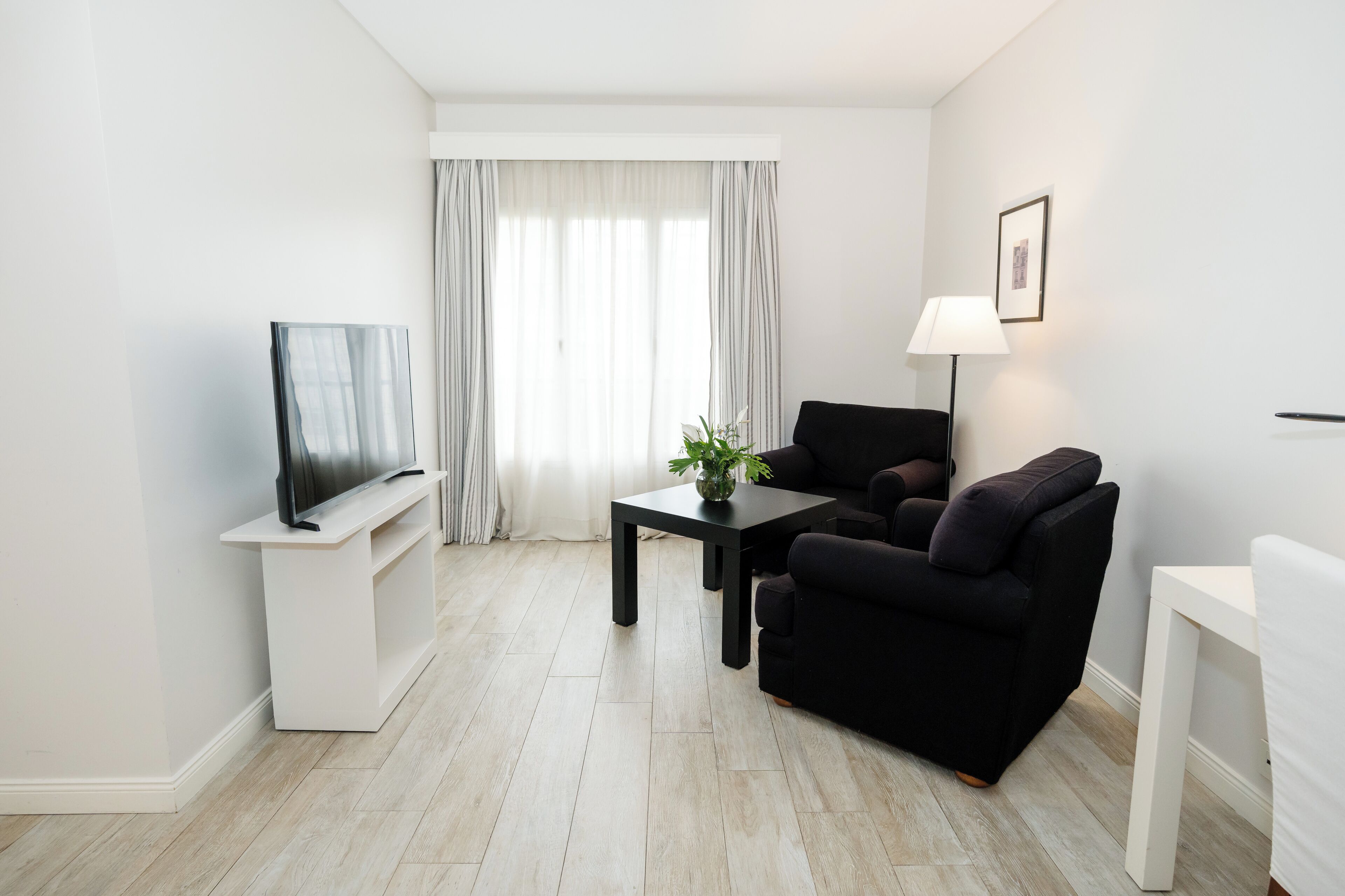 Een moderne woonkamer met een flatscreen televisie, een zwarte bank, een bijzettafeltje met een plant en een lamp.