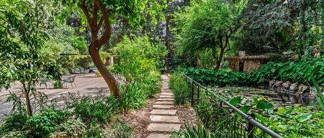A stone pathway leading through a lush garden with a pond, surrounded by various plants and trees.