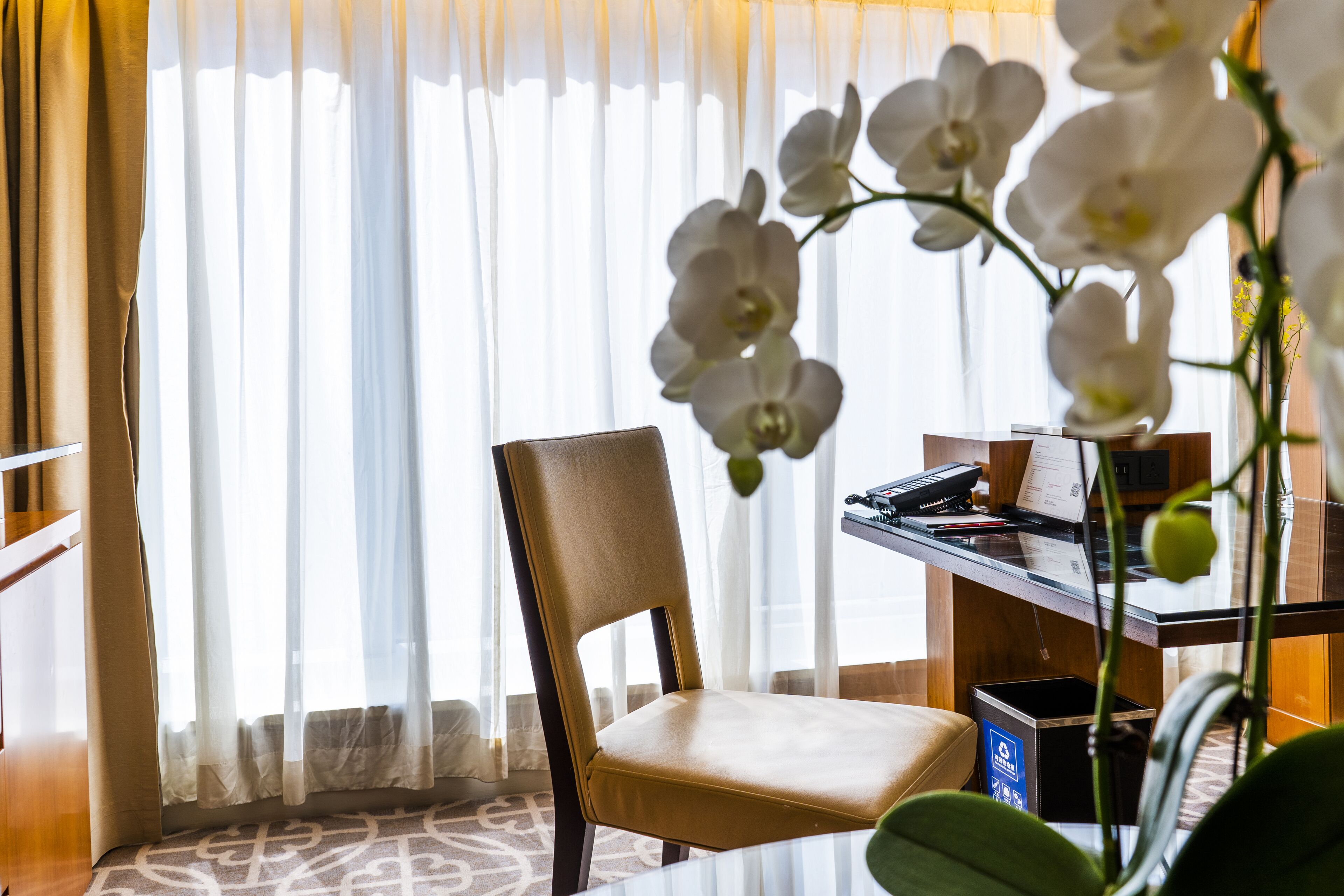 apartment, 1 king bed | living area | lcd tv, ipod dock