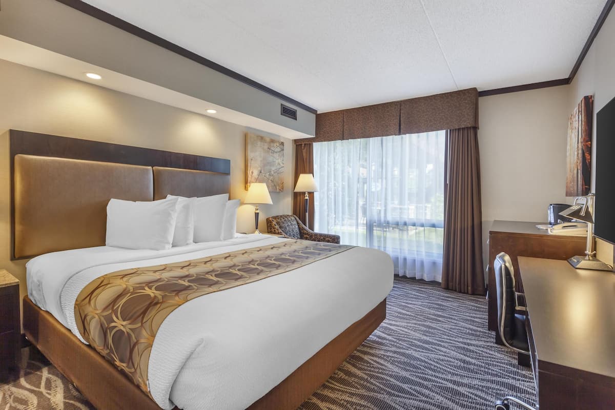 Standard Room, 1 King Bed, Non Smoking, Refrigerator & Microwave | Minibar, in-room safe, iron/ironing board, free rollaway beds