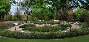 Vistas al jardín