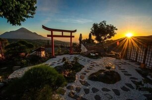 Jardim
