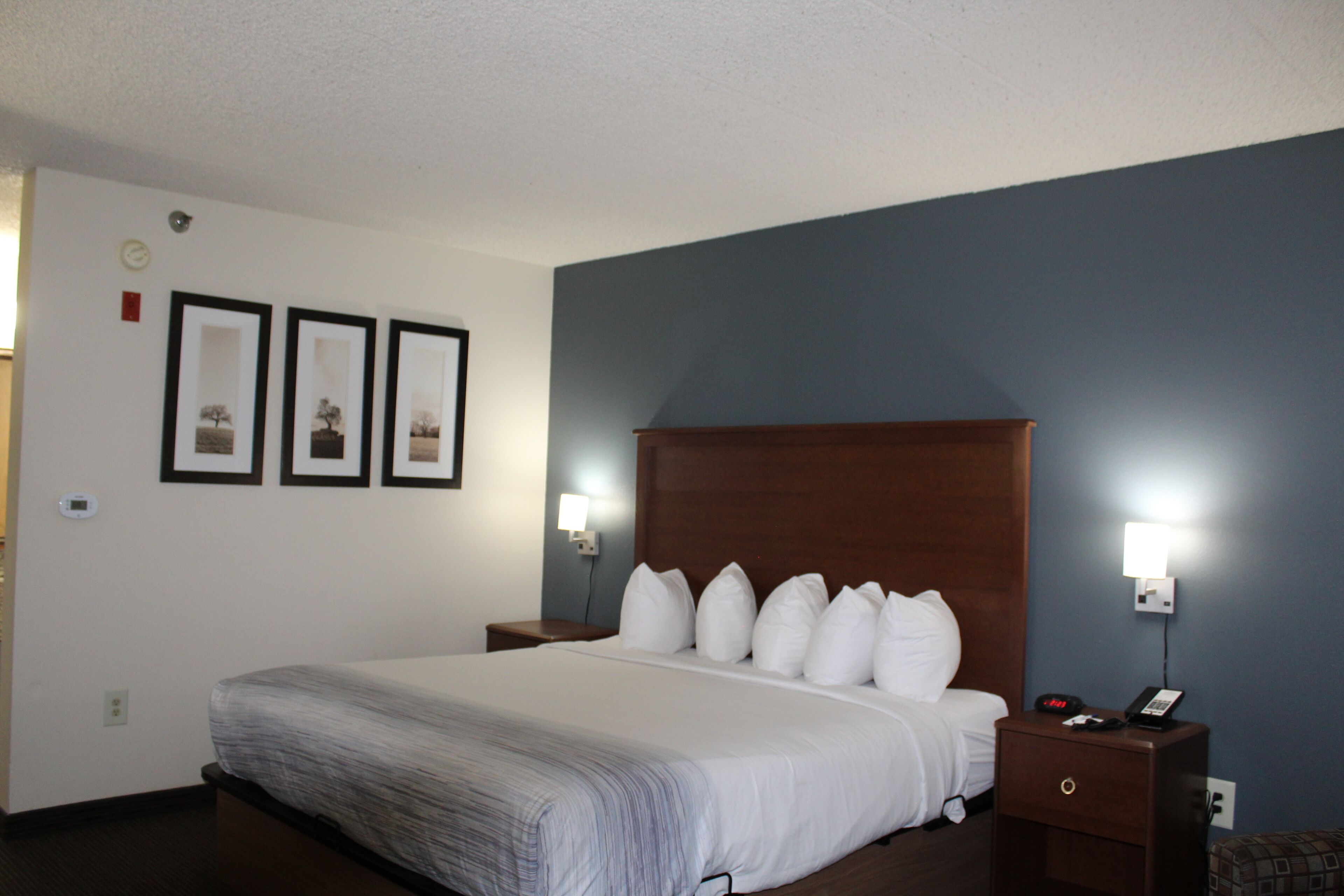 A hotel room with a large bed, two bedside tables, and a nightstand with a phone and lamp.