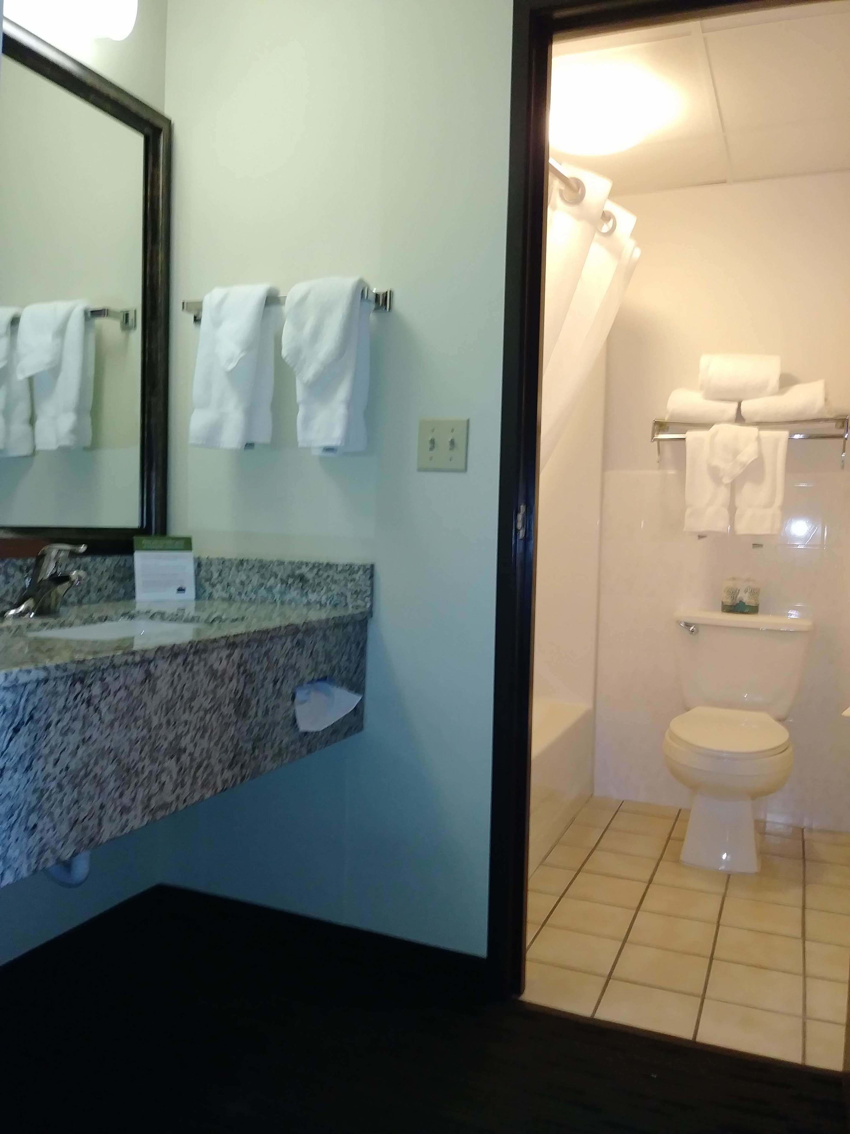 Une salle de bain avec un comptoir en granit, un miroir et des toilettes.