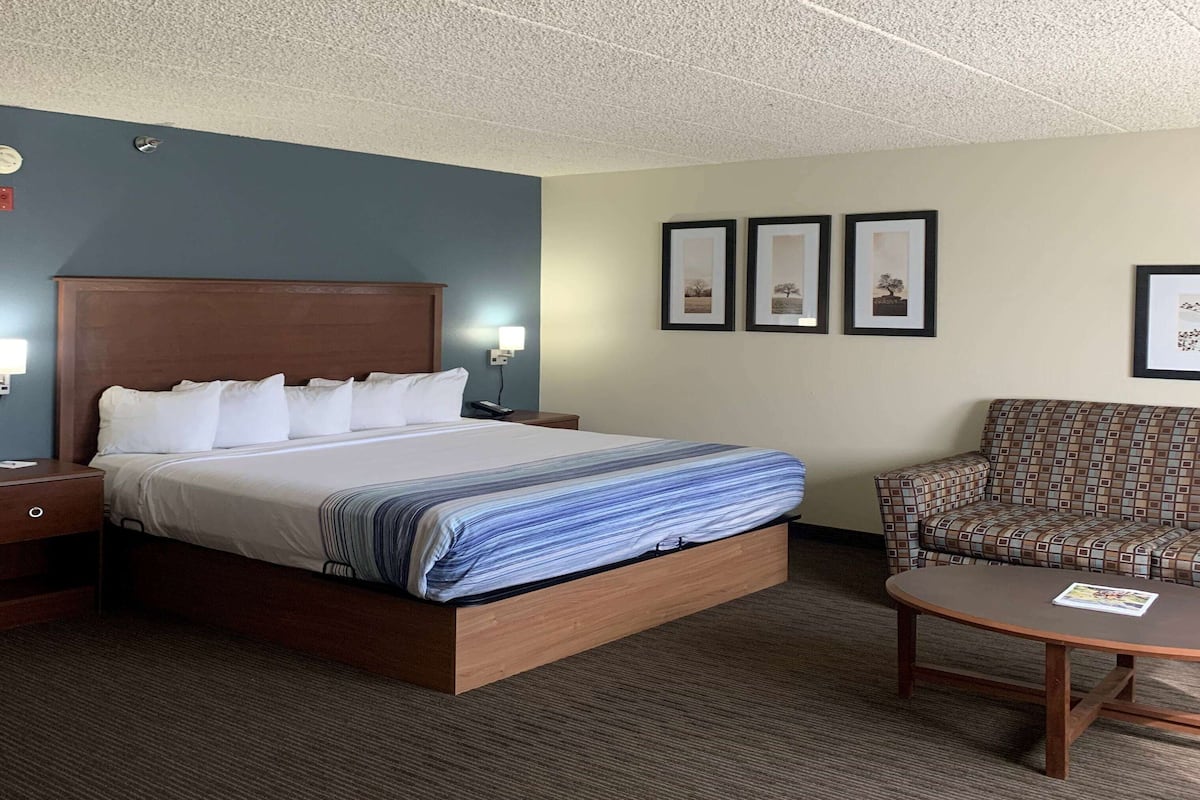 Studio Suite, 1 King Bed, Non Smoking | Desk, iron/ironing board, free cribs/infant beds, rollaway beds