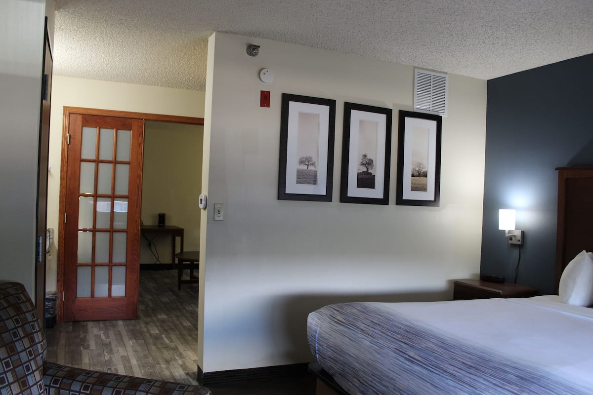 Deluxe Studio Suite, 1 King Bed, Non Smoking | Desk, iron/ironing board, free cribs/infant beds, rollaway beds