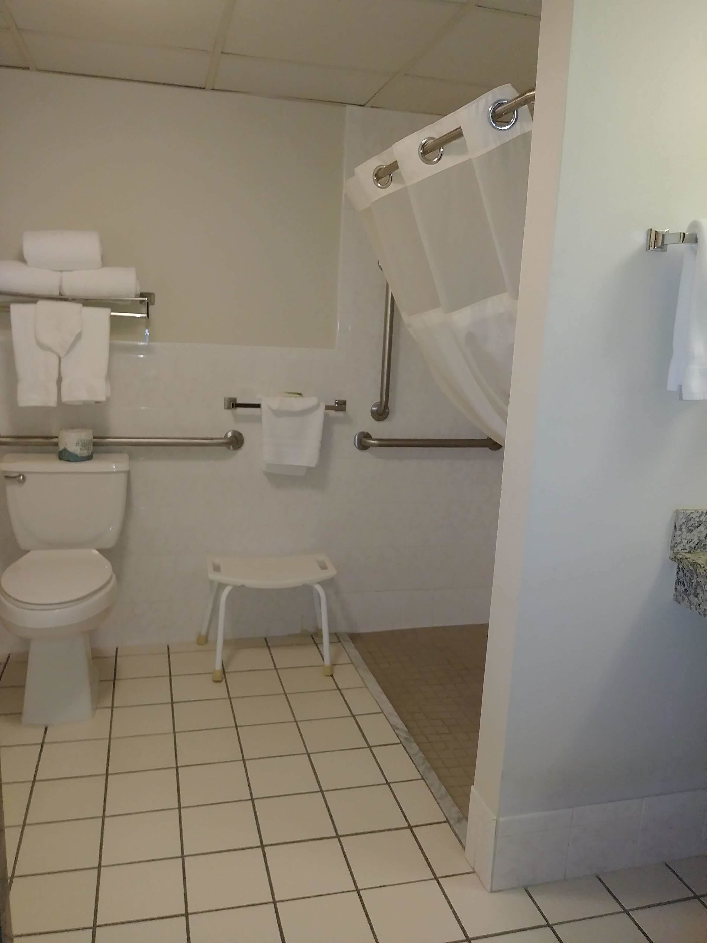 A bathroom with a toilet, a small sink, and a shower area.