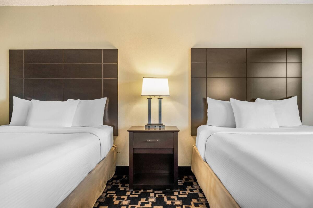 A hotel room with two beds, a nightstand with a lamp, and a patterned carpet.