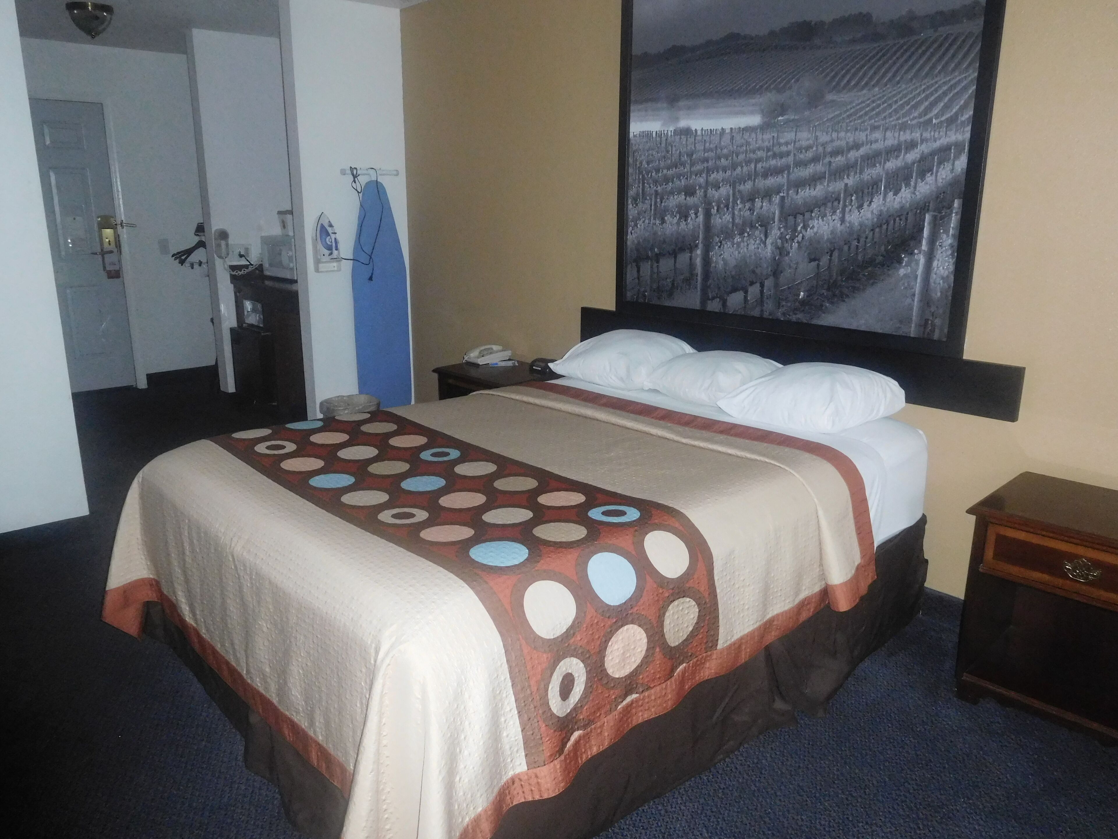 A hotel room with a bed, a nightstand, a desk, an ironing board, and a large framed picture of a vineyard.
