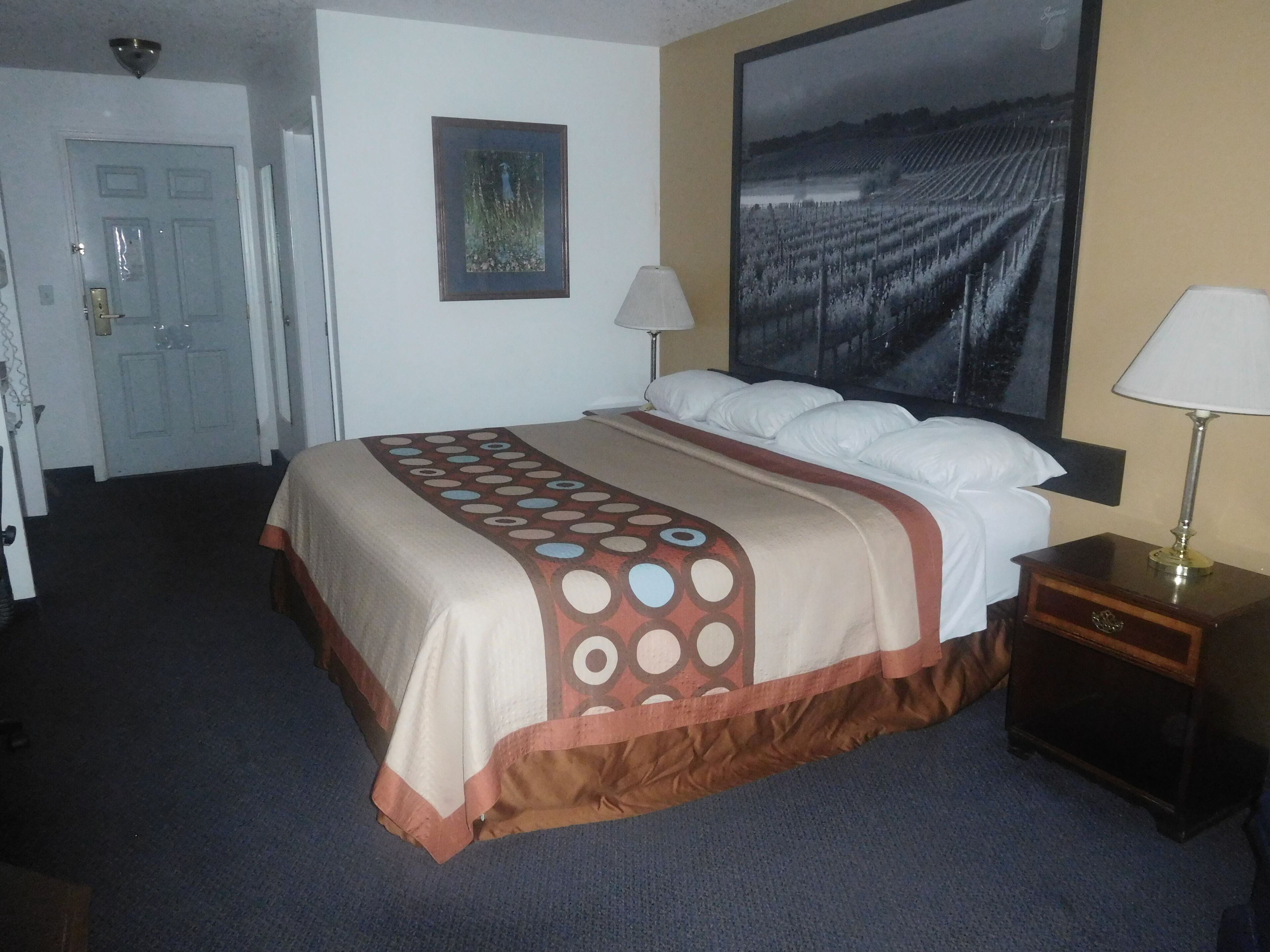 Una camera d'albergo con un letto, due lampade ai lati, un grande quadro appeso alla parete e una porta.