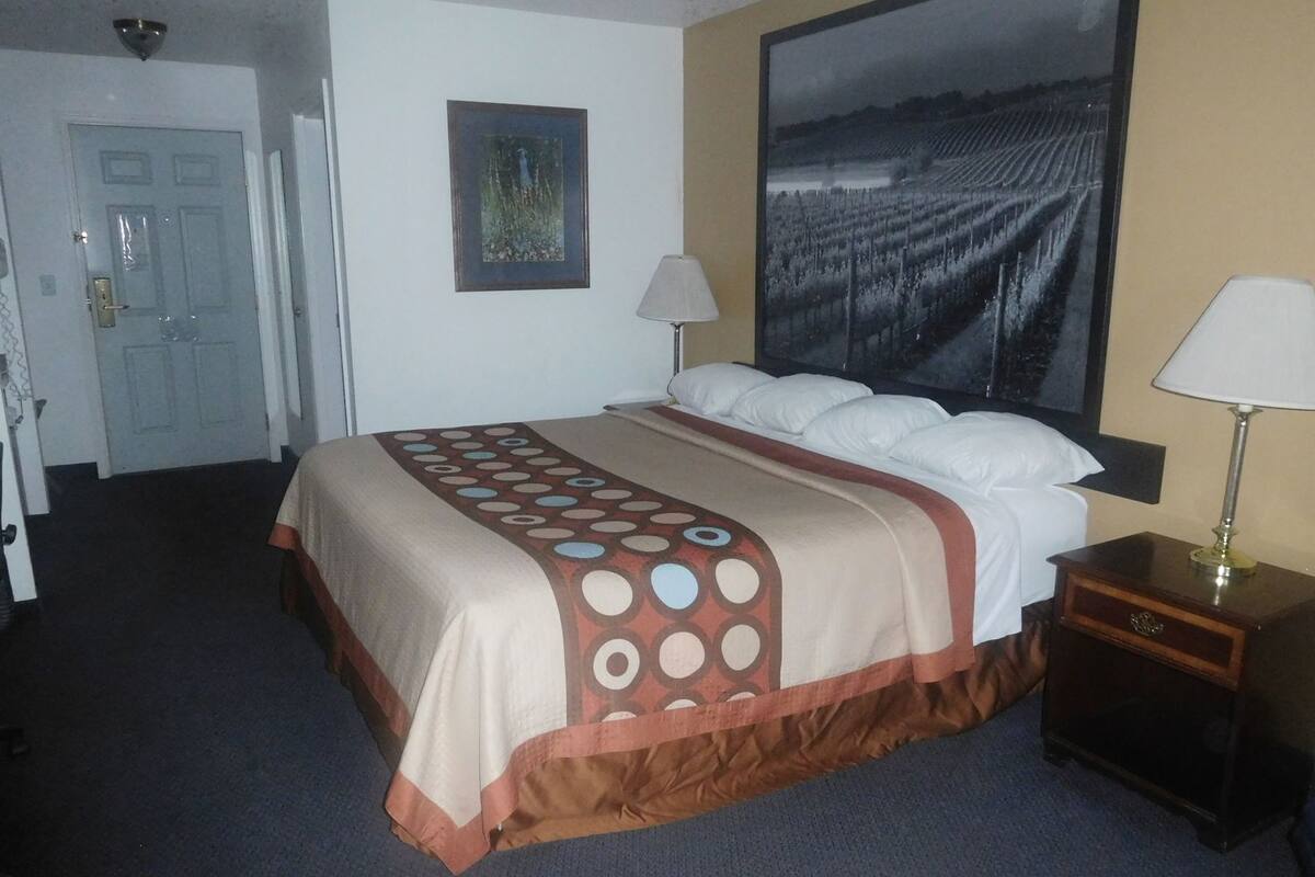 Een hotelkamer met een bed, twee bedlampen, een groot ingelijst schilderij aan de muur, en een deur.